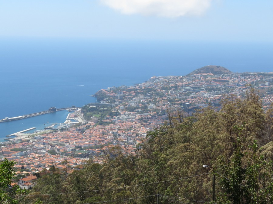 madeira