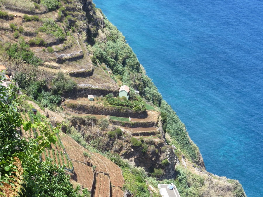 madeira