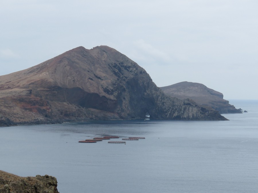 madeira