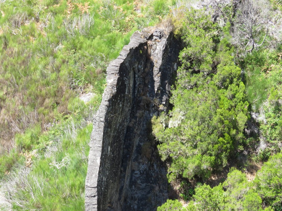 madeira