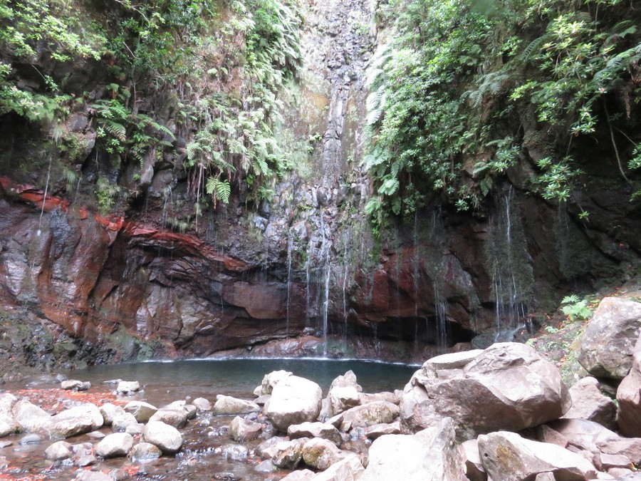 madeira