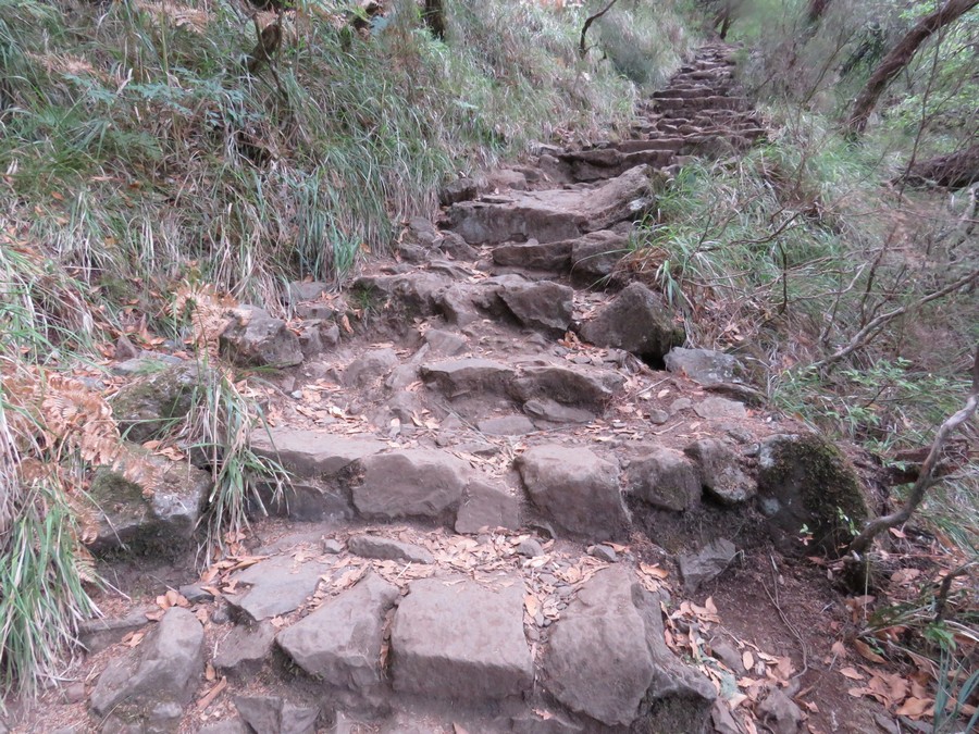 madeira