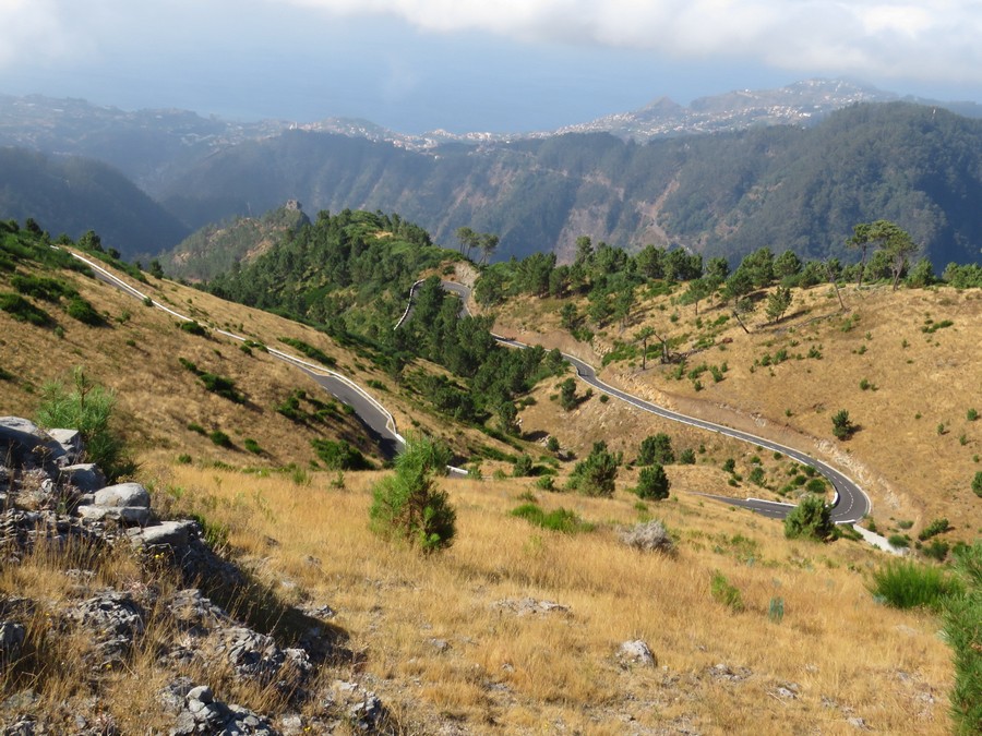 madeira